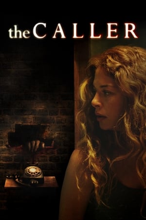 The Caller 2011 Dual Audio Hindi 300MB